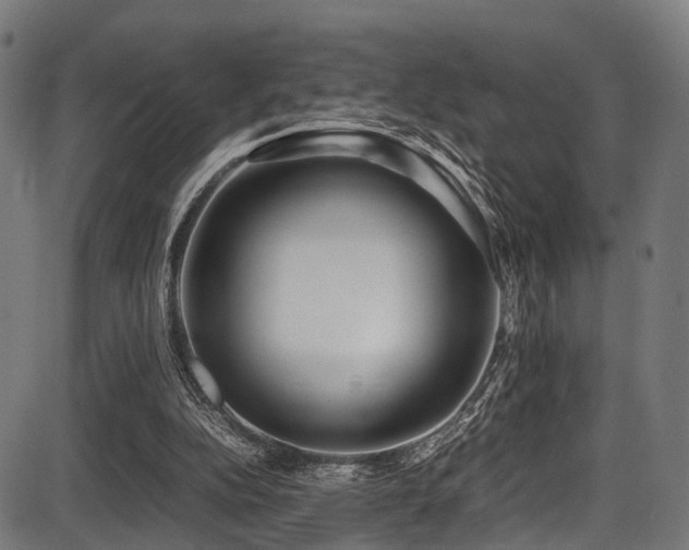 X0000087640152200705031519