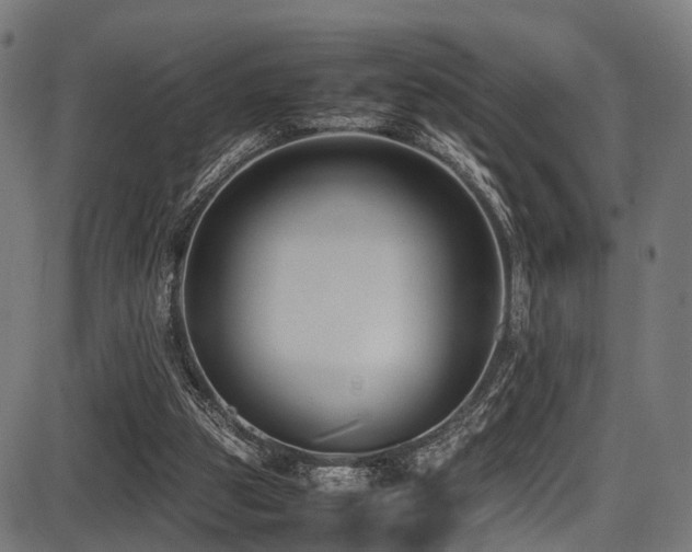 X0000087640153200705031519