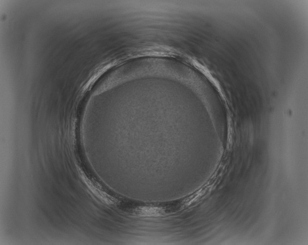 X0000087640154200705031519