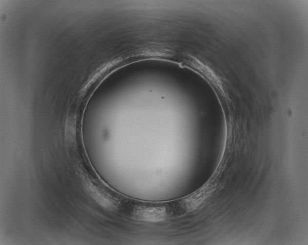 X0000087640155200705031519