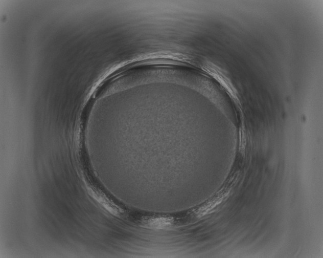 X0000087640156200705031519