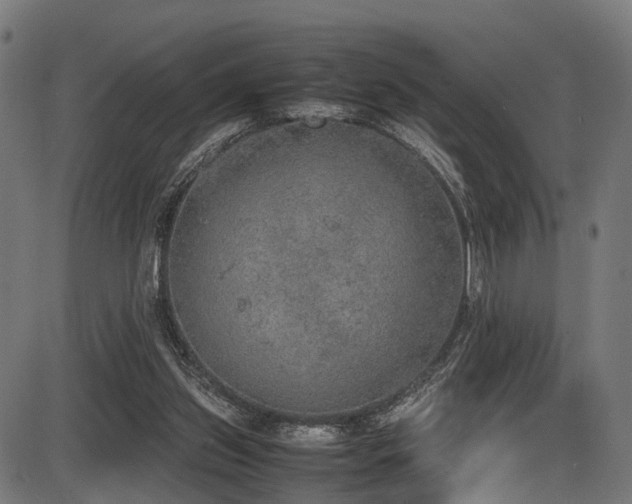 X0000087640157200705031519