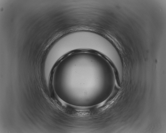 X0000087640158200705031519