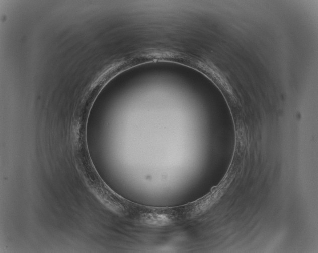 X0000087640159200705031519