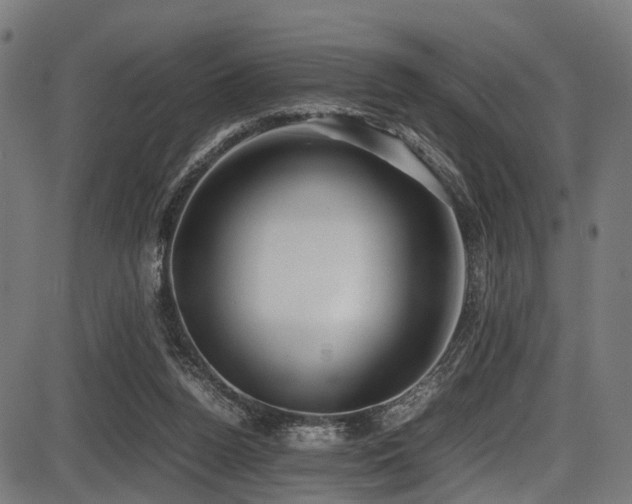 X0000087640160200705031519