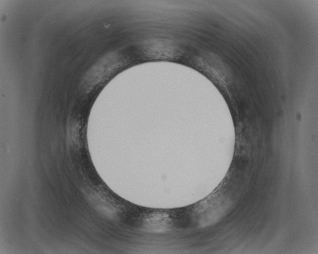 X0000087640162200705031519