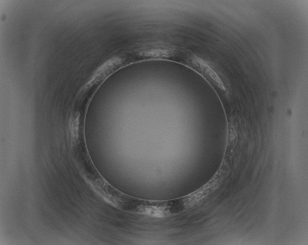 X0000087640163200705031519