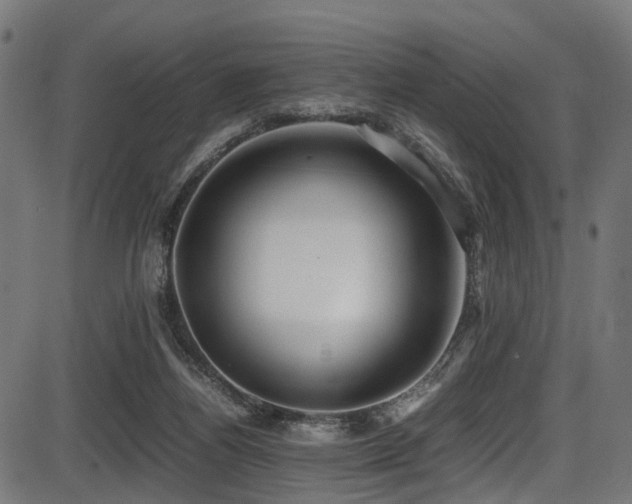 X0000087640164200705031519