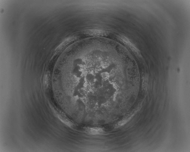 X0000087640165200705031519