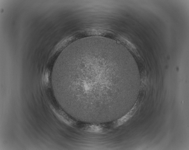 X0000087640166200705031519