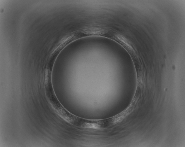 X0000087640167200705031519