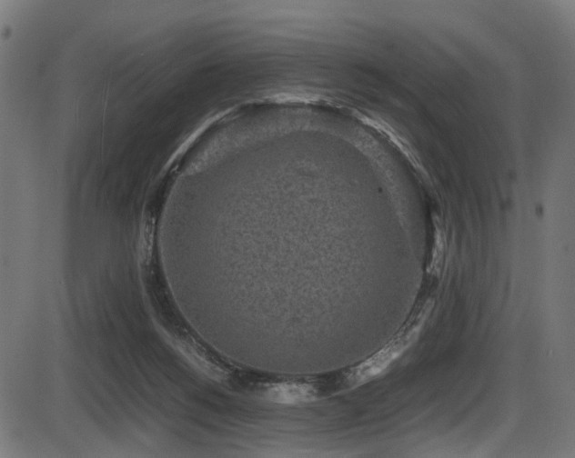 X0000087640168200705031519