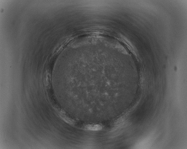 X0000087640169200705031519