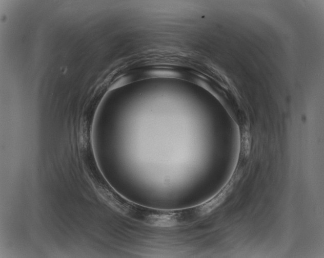 X0000087640170200705031519