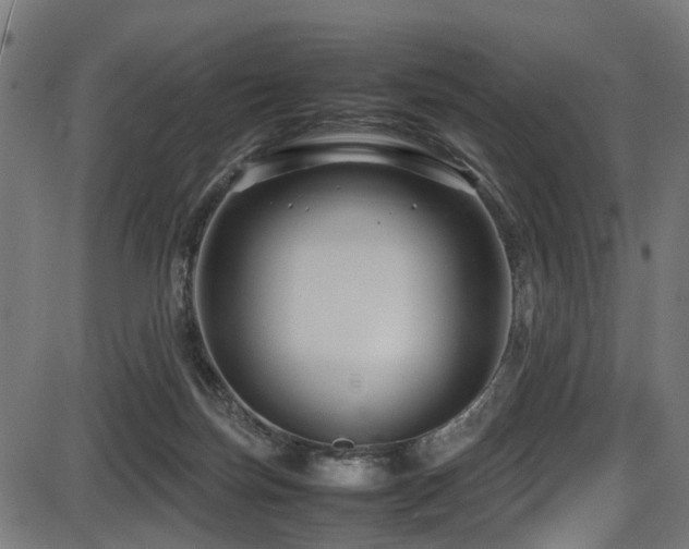 X0000087640171200705031519