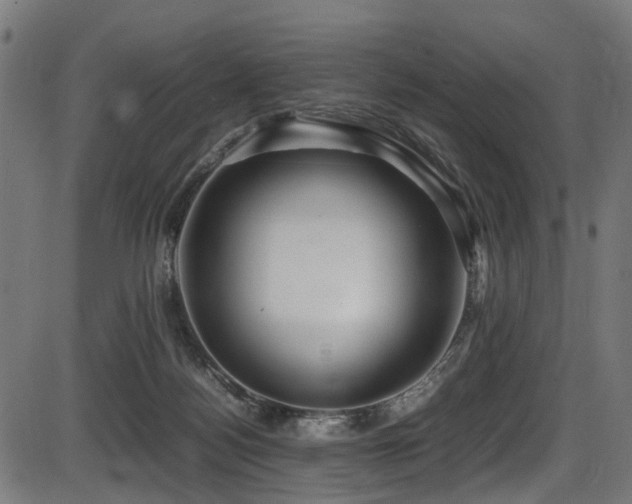 X0000087640172200705031519