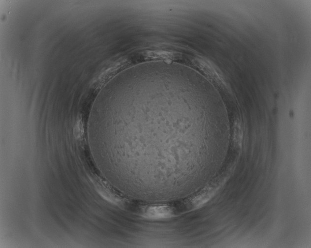 X0000087640173200705031519