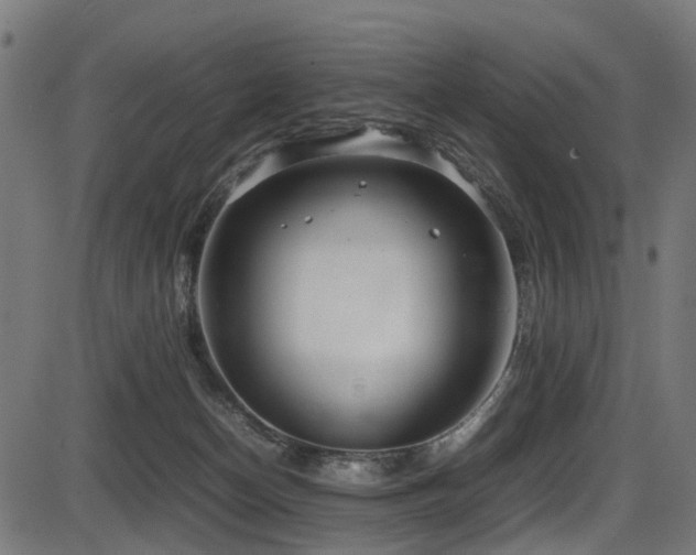 X0000087640174200705031519