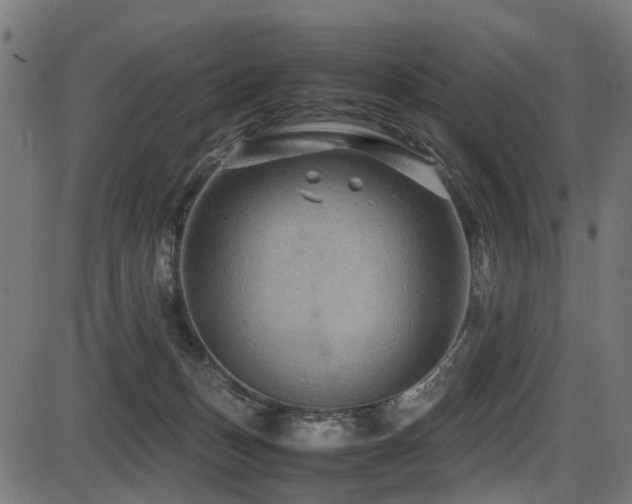 X0000087640175200705031519