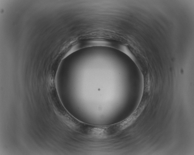 X0000087640176200705031519