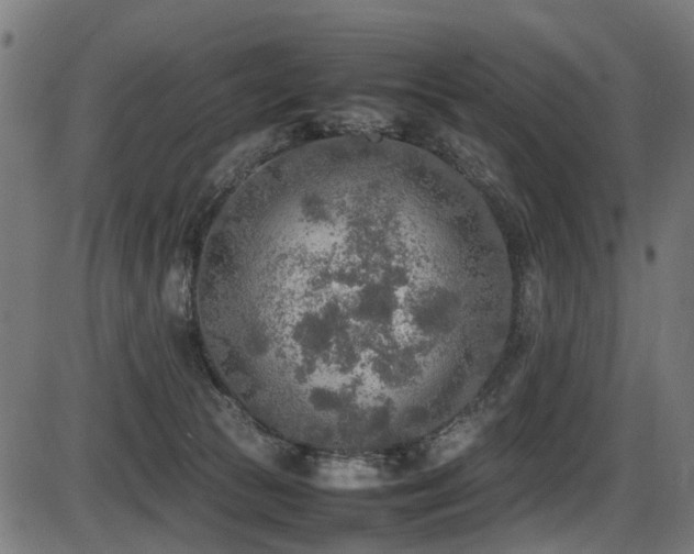 X0000087640177200705031519