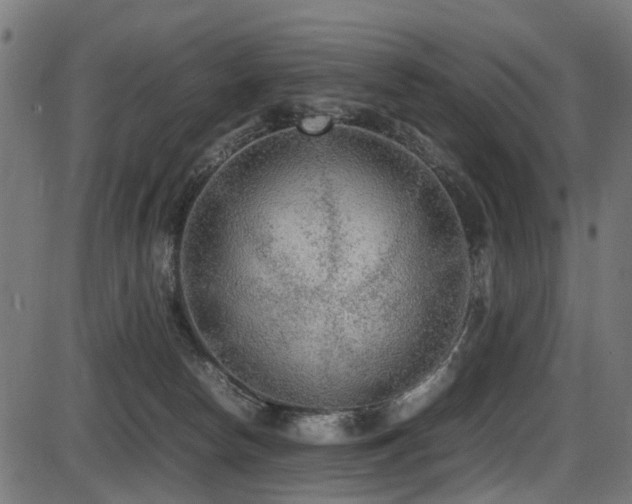 X0000087640178200705031519