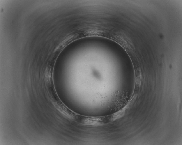 X0000087640179200705031519