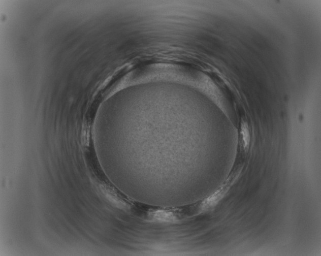 X0000087640180200705031519