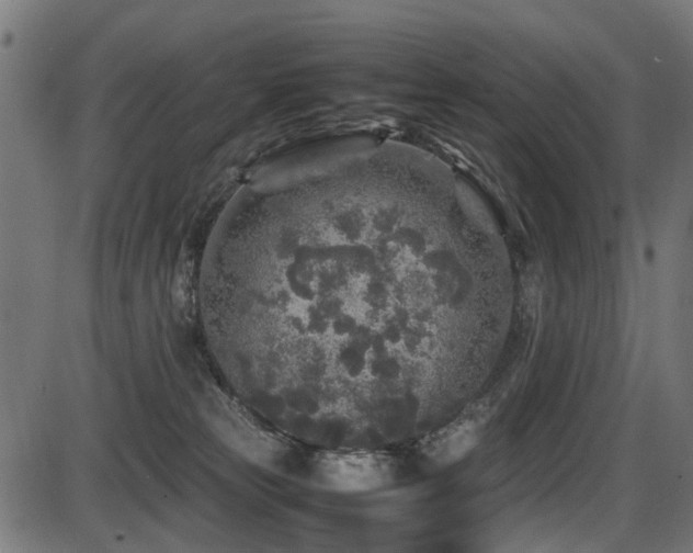 X0000087640181200705031519