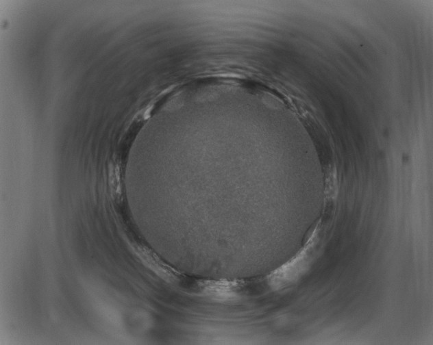 X0000087640182200705031519