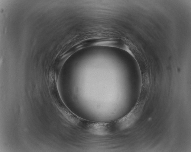 X0000087640184200705031519