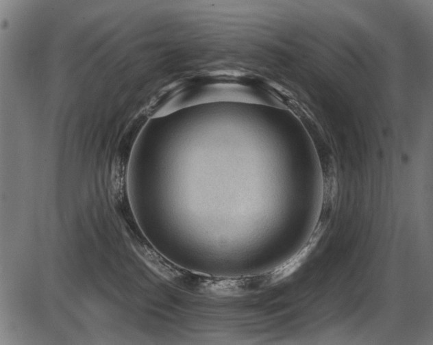 X0000087640186200705031519