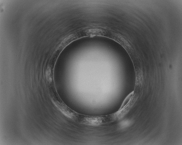 X0000087640187200705031519