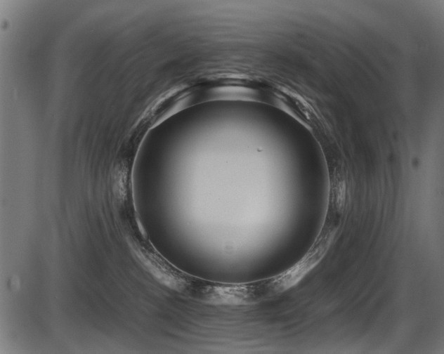 X0000087640188200705031519