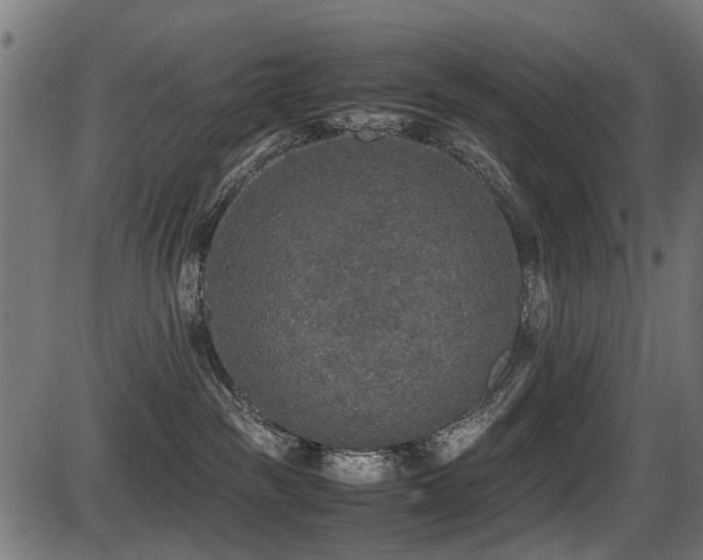 X0000087640189200705031519