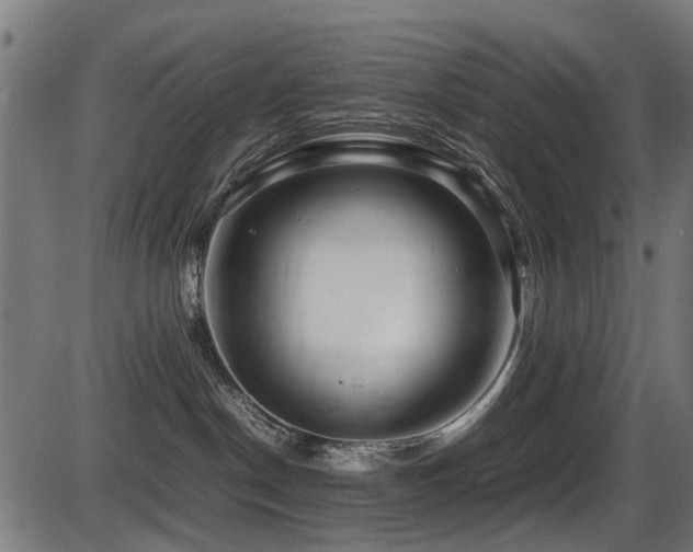 X0000087640190200705031519