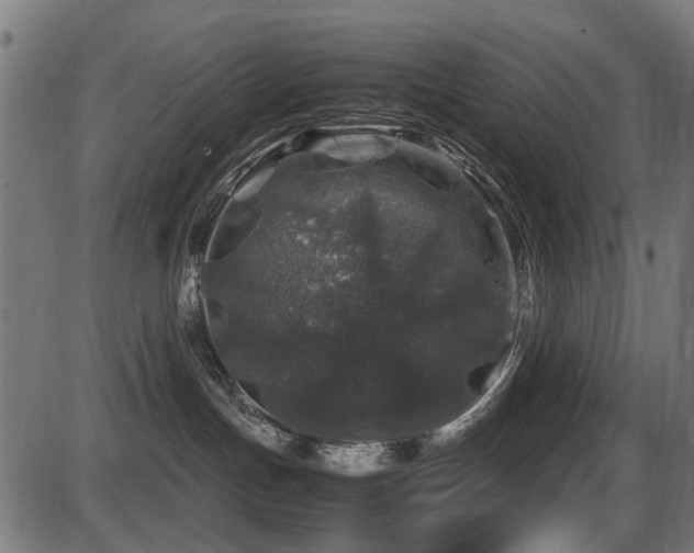 X0000087640191200705031519