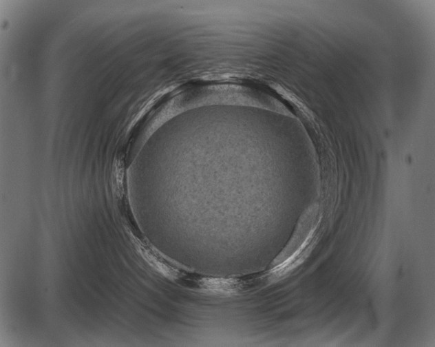 X0000087640192200705031519