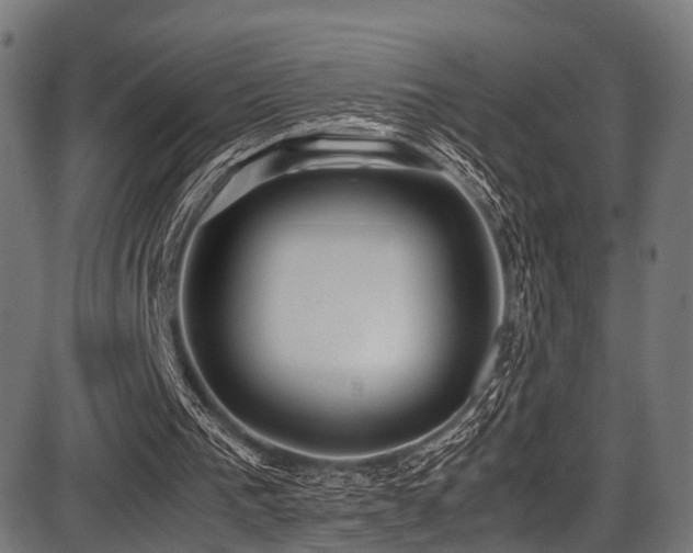 X0000087640193200705031519