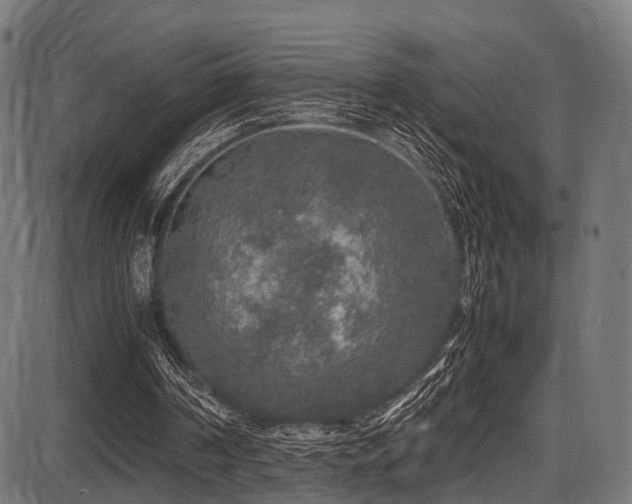 X0000087640194200705031519