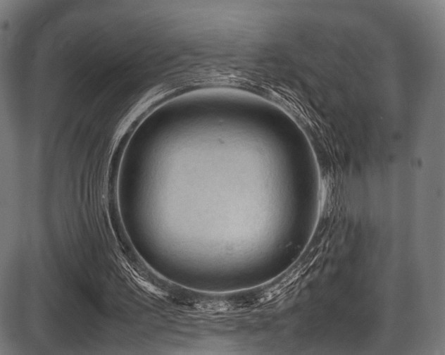 X0000087640195200705031519