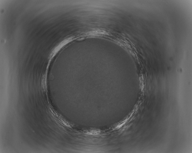 X0000087640196200705031519