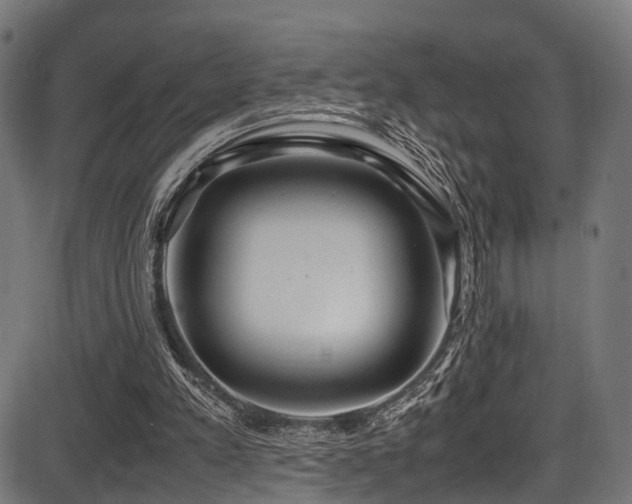 X0000087640197200705031519