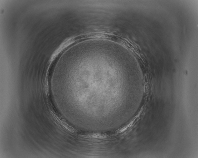 X0000087640198200705031519