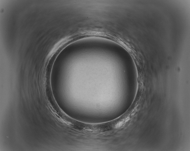 X0000087640199200705031519