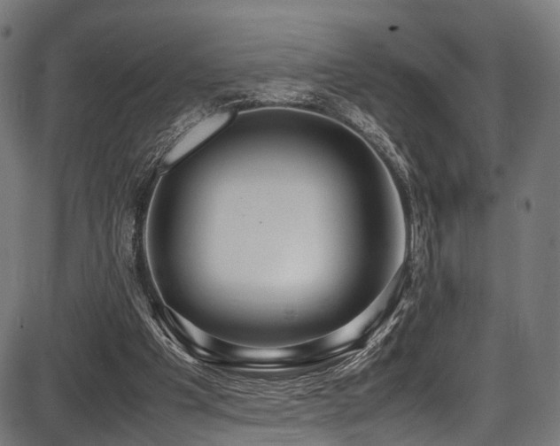 X0000087640201200705031519