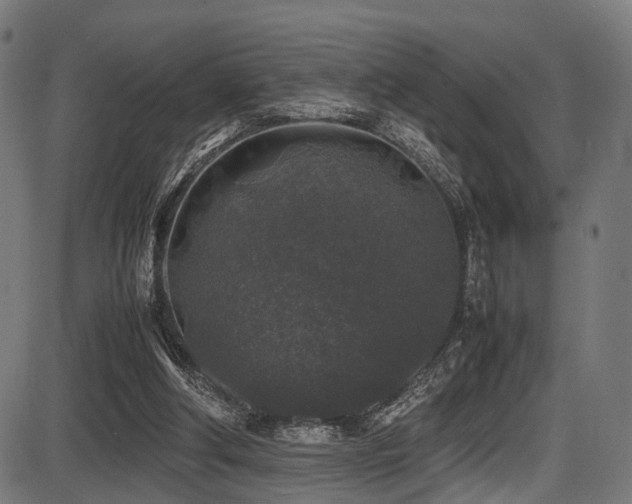 X0000087640202200705031519