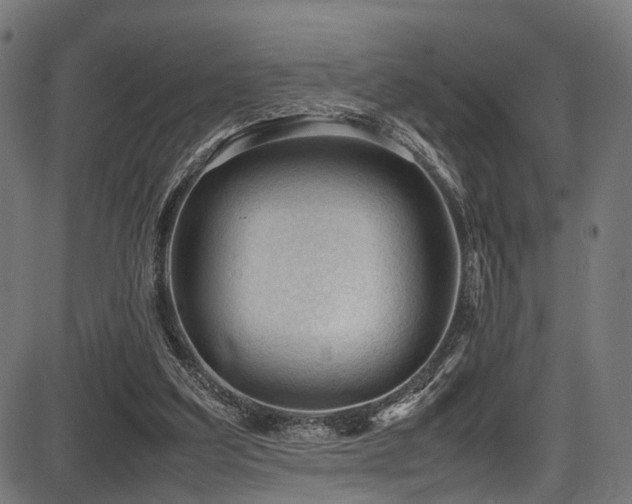 X0000087640203200705031519