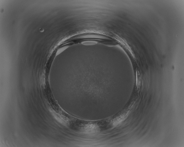 X0000087640204200705031519