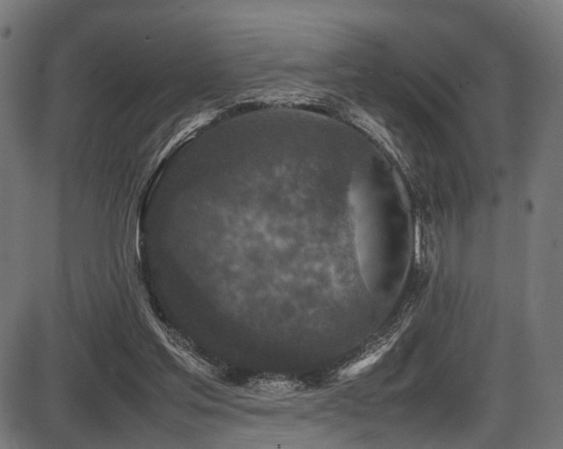 X0000087640205200705031519